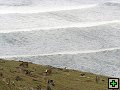 thn_The Catlins Coast 008.jpg